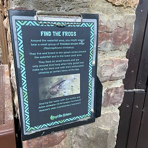 Bristol Zoo reptile house