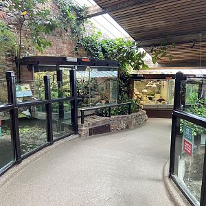 Bristol Zoo reptile house