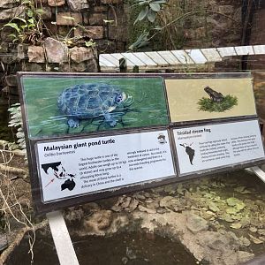 Bristol Zoo reptile house