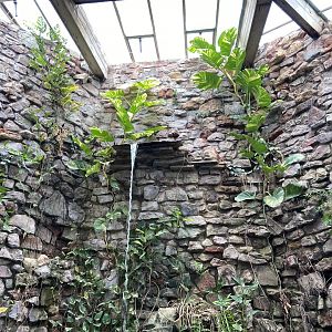 Bristol Zoo reptile house