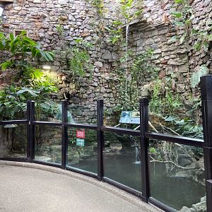 Bristol Zoo reptile house