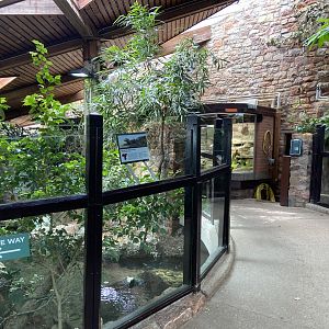 Bristol Zoo reptile house