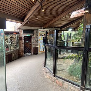 Bristol Zoo reptile house