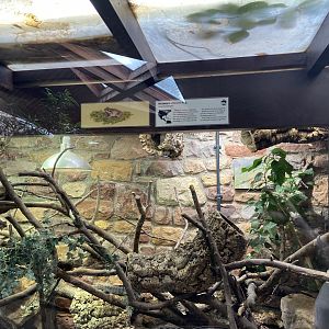 Bristol Zoo reptile house