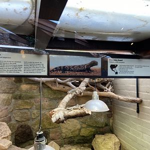 Bristol Zoo reptile house