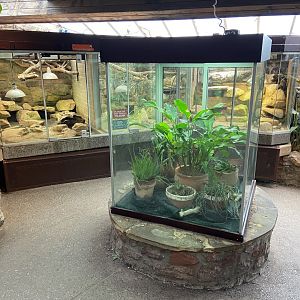 Bristol Zoo reptile house