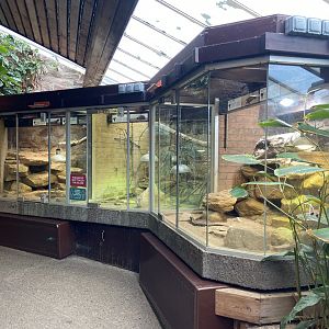 Bristol Zoo reptile house