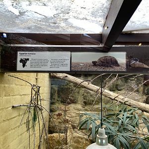 Bristol Zoo reptile house