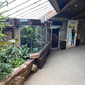 Bristol Zoo reptile house