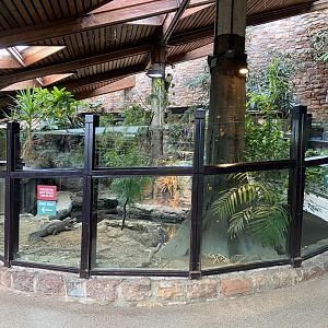 Bristol Zoo reptile house