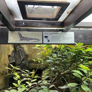 Bristol Zoo reptile house