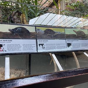 Bristol Zoo reptile house