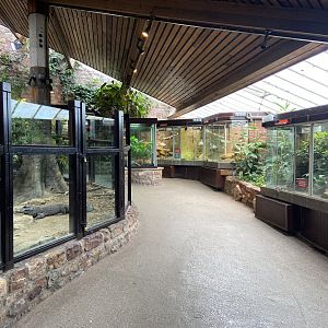 Bristol Zoo reptile house