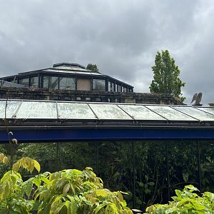 Bristol Zoo aquarium