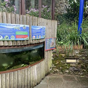 Bristol Zoo crayfish