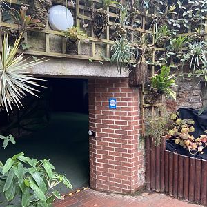 Bristol Zoo aquarium