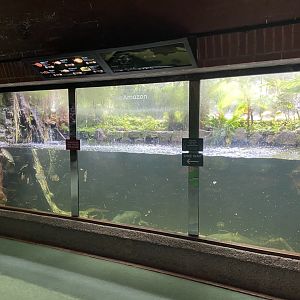 Bristol Zoo aquarium