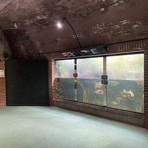 Bristol Zoo aquarium