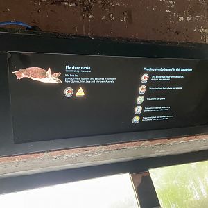 Bristol Zoo aquarium