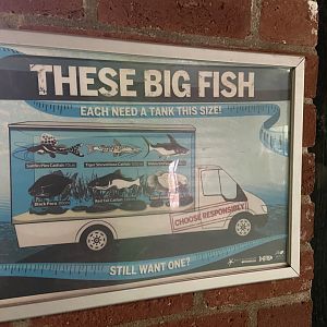 Bristol Zoo aquarium