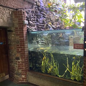 Bristol Zoo aquarium