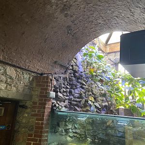 Bristol Zoo aquarium