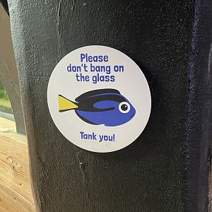 Bristol Zoo aquarium