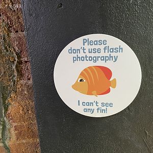 Bristol Zoo aquarium