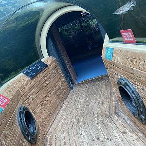 Bristol Zoo aquarium