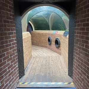 Bristol Zoo aquarium