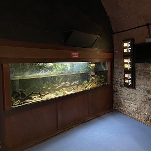 Bristol Zoo aquarium