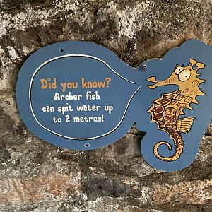 Bristol Zoo aquarium