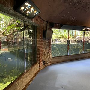 Bristol Zoo aquarium