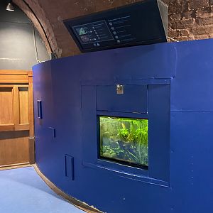 Bristol Zoo aquarium