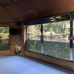 Bristol Zoo aquarium