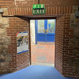 Bristol Zoo aquarium