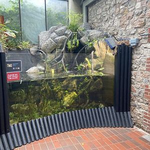 Bristol Zoo aquarium