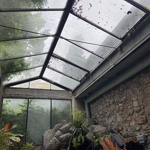 Bristol Zoo aquarium