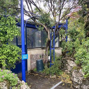 Bristol Zoo aquarium