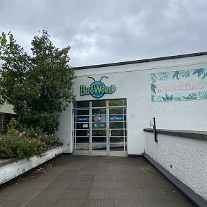 Bristol Zoo Bug World