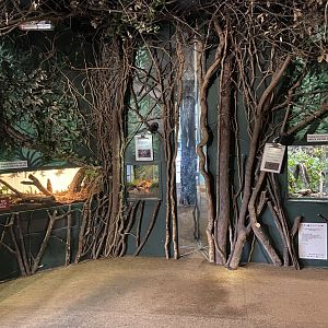 Bristol Zoo Bug World