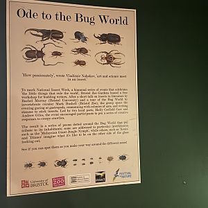 Bristol Zoo Bug World