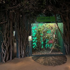 Bristol Zoo Bug World