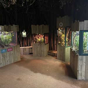 Bristol Zoo Bug World