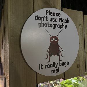 Bristol Zoo Bug World