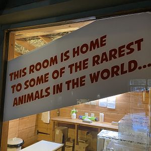 Bristol Zoo Bug World