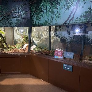 Bristol Zoo Bug World