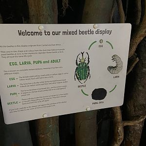 Bristol Zoo Bug World