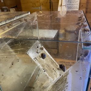 Bristol Zoo Bug World