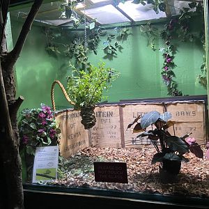 Bristol Zoo Bug World